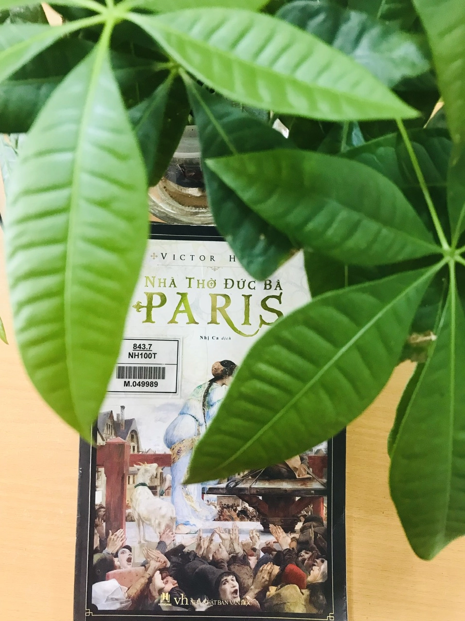 Bìa sách tiểu thuyết Nhà thờ Đức Bà Paris của Victor Hugo