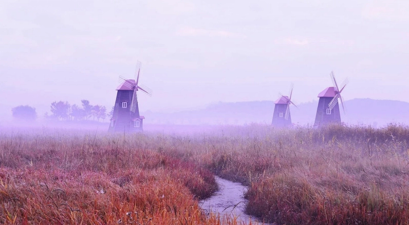 Cối xay gió Hà Lan: Biểu tượng của văn hóa và lịch sử 2