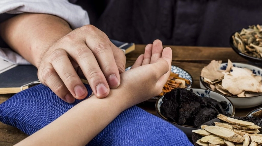 Cuộc đời và sự nghiệp của Đại danh y Hải Thượng Lãn Ông Lê Hữu Trác- Ảnh 3.