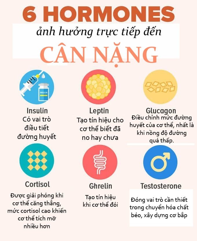 thực đơn giảm cân cho nữ khó giảm cân