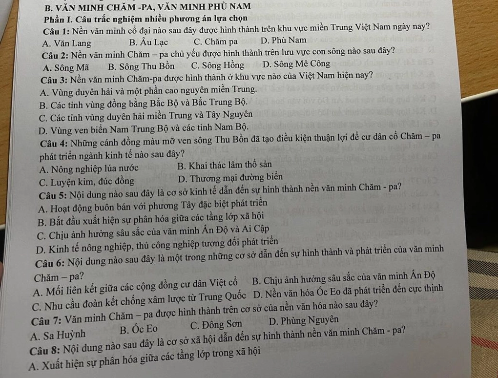 nền văn minh chăm pa được phát triển dựa trên nền văn hóa