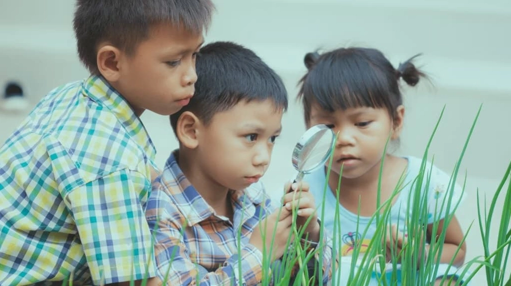 Người có IQ cao nhất Việt Nam 3