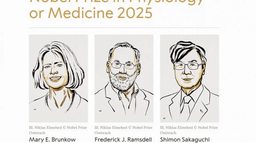 Nobel Y sinh 2025 vinh danh các nhà khoa học Mỹ và Nhật Bản về khám phá miễn dịch