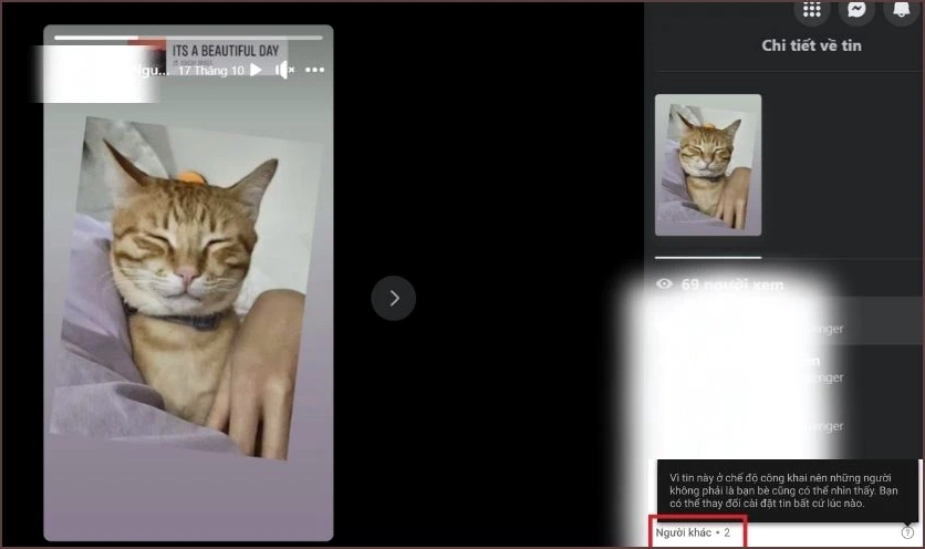 Số lượng người lạ xem story sẽ được hiển thị ở cuối danh sách