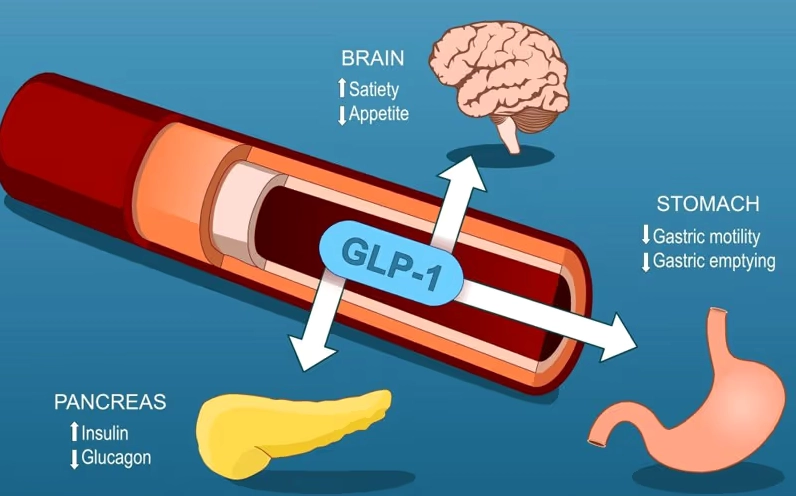 thuốc tiểu đường thế hệ mới - Đồng vận thụ thể GLP-1