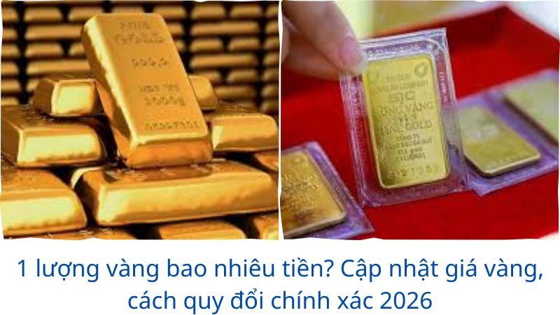 1-ha-bang-bao-nhieu-met-vuong (1)