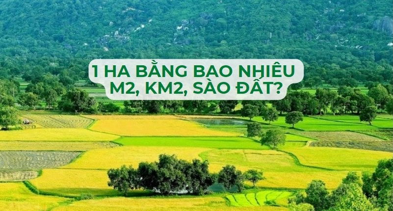 1-ha-bang-bao-nhieu-met-vuong-huong-dan-quy-doi-chuan-2026_330