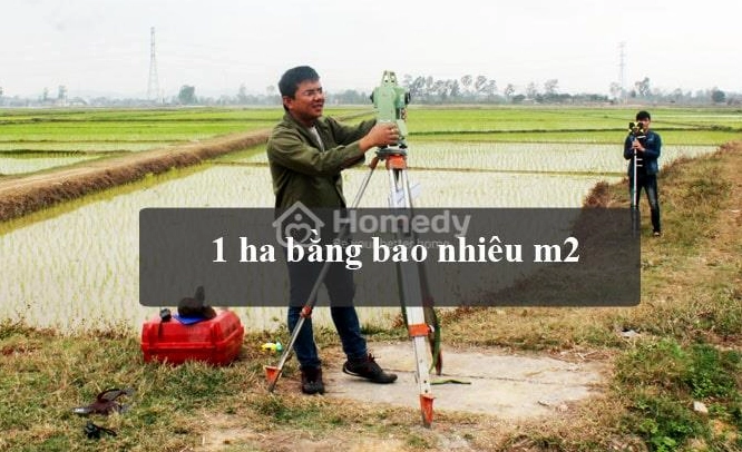 1-hecta-bang-bao-nhieu-m2-bang-quy-doi-chuan-nhat-2026-danh-_890