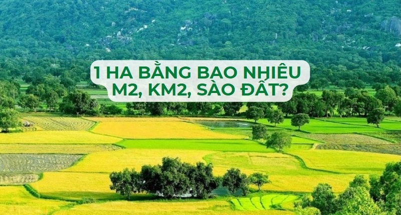 1 hecta bằng bao nhiêu m2, km2, sào đất?