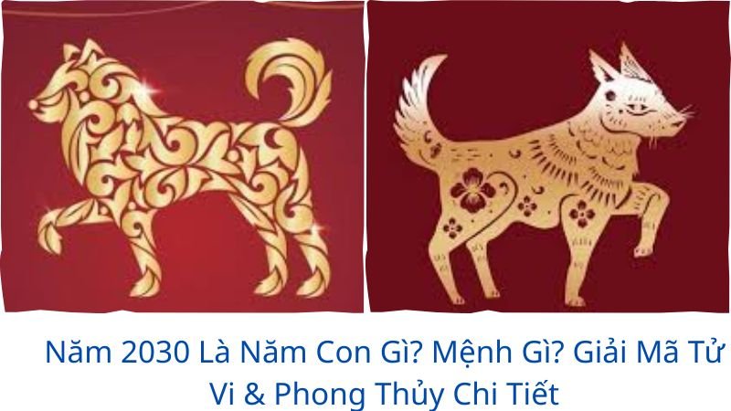 2030-la-nam-con-gi
