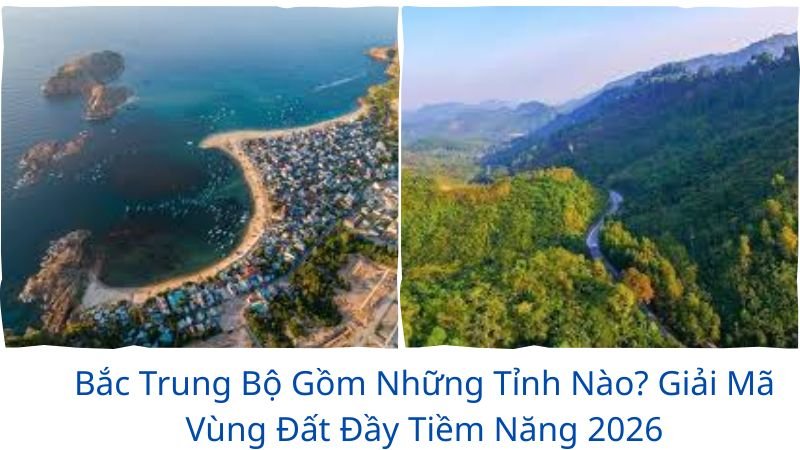 bac-trung-bo-gom-nhung-tinh-nao