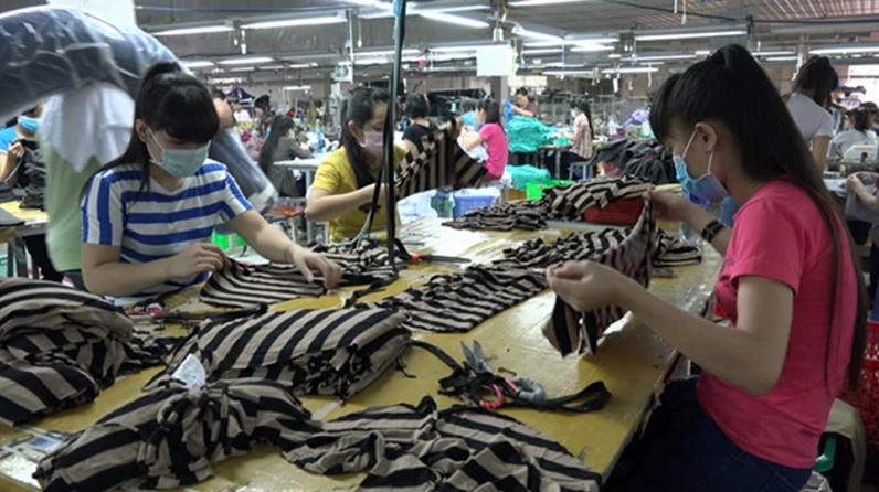 bi-quyet-nhan-hang-ve-nha-lam-cat-chi-tranh-lua-dao-kiem-tie_204