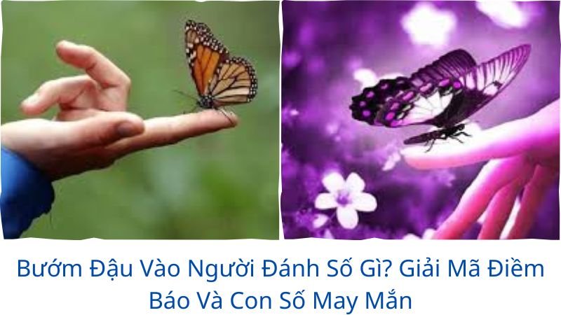 buom-dau-vao-nguoi-danh-so-gi