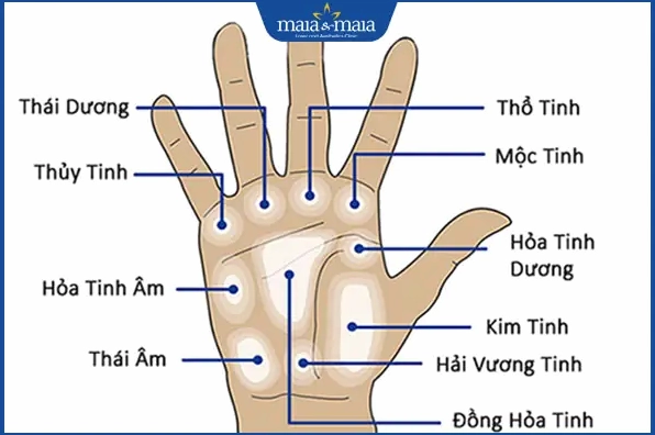 các vị trí nốt ruồi ở lòng bàn tay