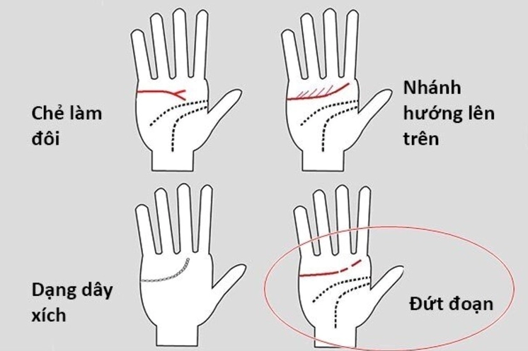 cách xem chỉ tay nữ