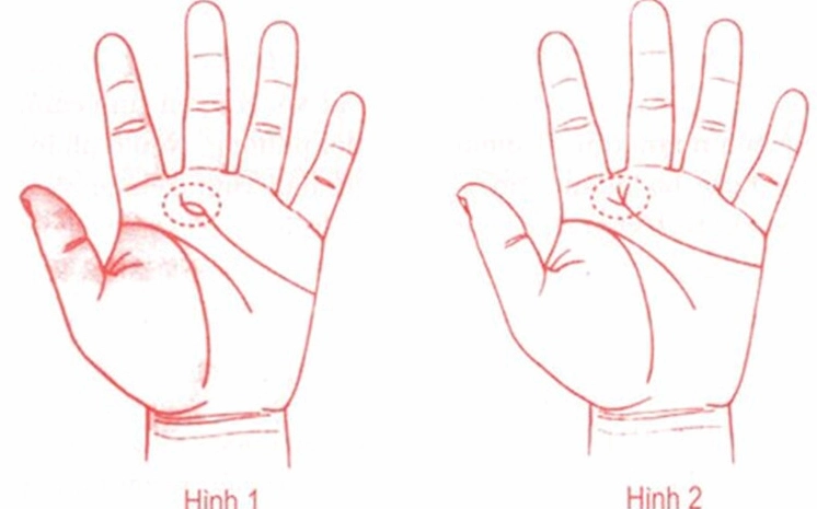 cách xem chỉ tay nữ