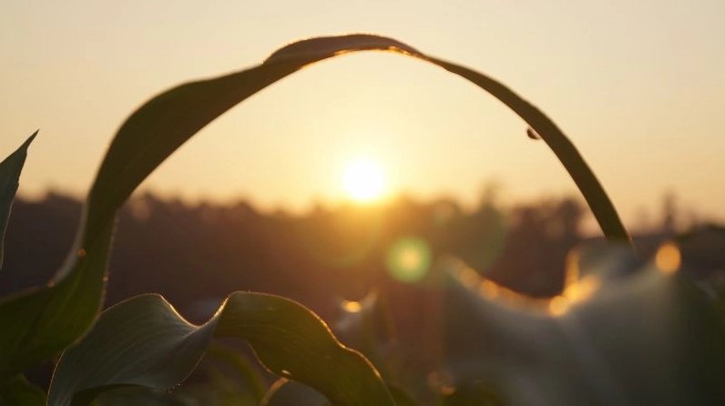 Cap hay về tình yêu cuộc sống, tạo động lực phấn đấu mỗi ngày