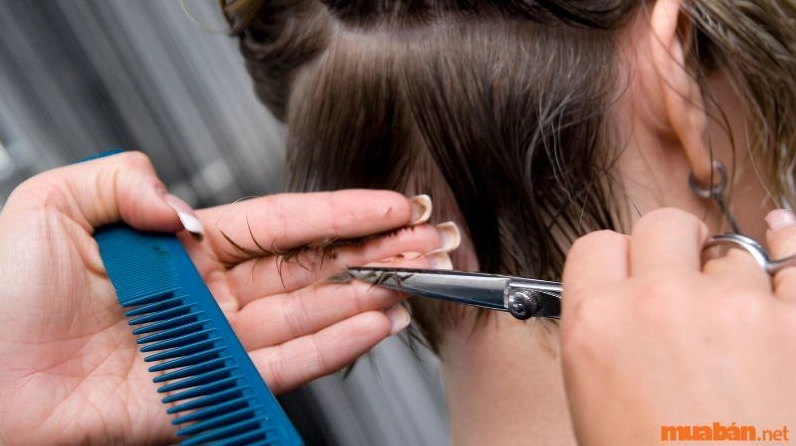 Cắt tóc ngày nào tốt?