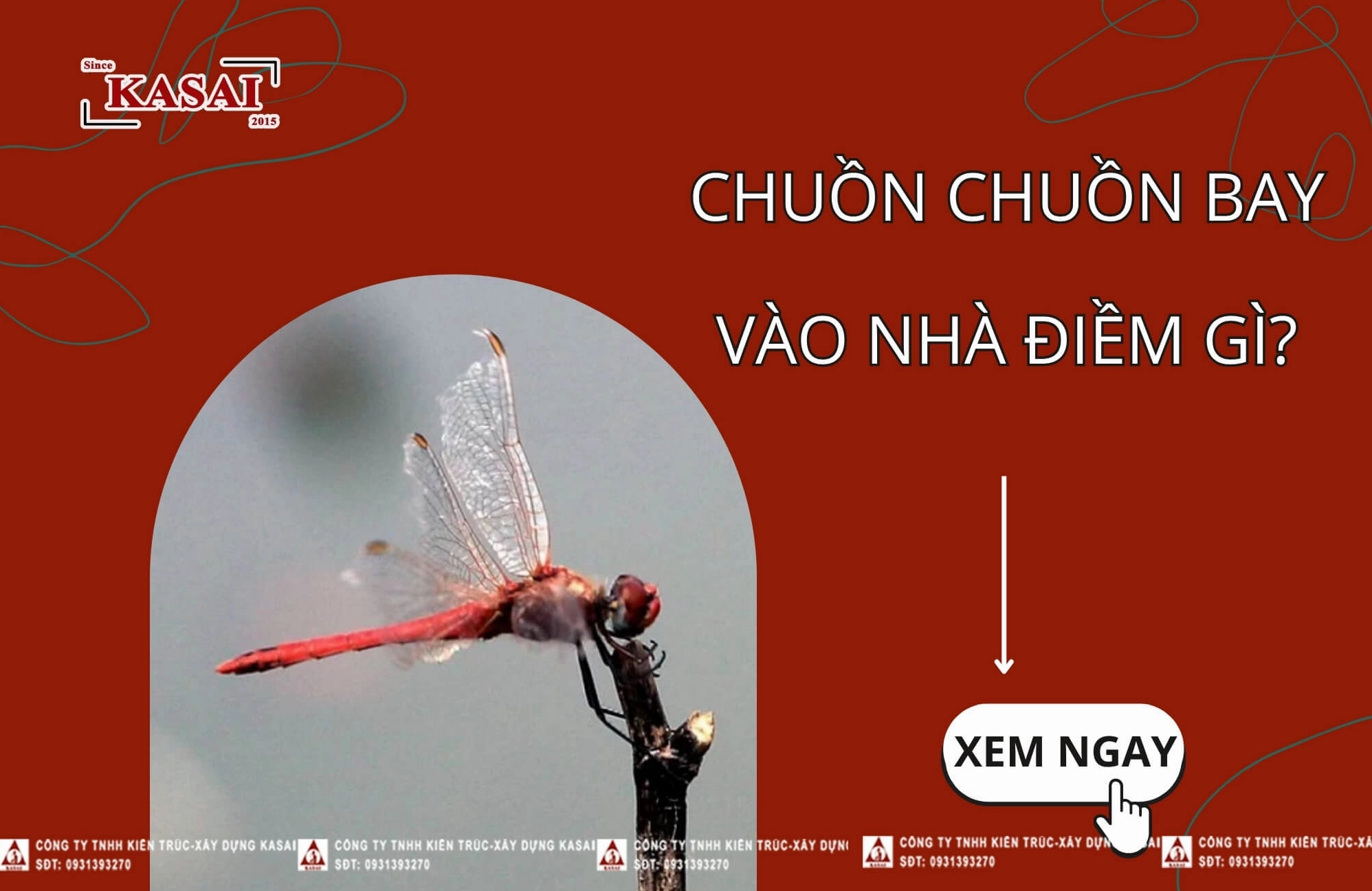 Chuồn chuồn bay vào nhà điềm gì?