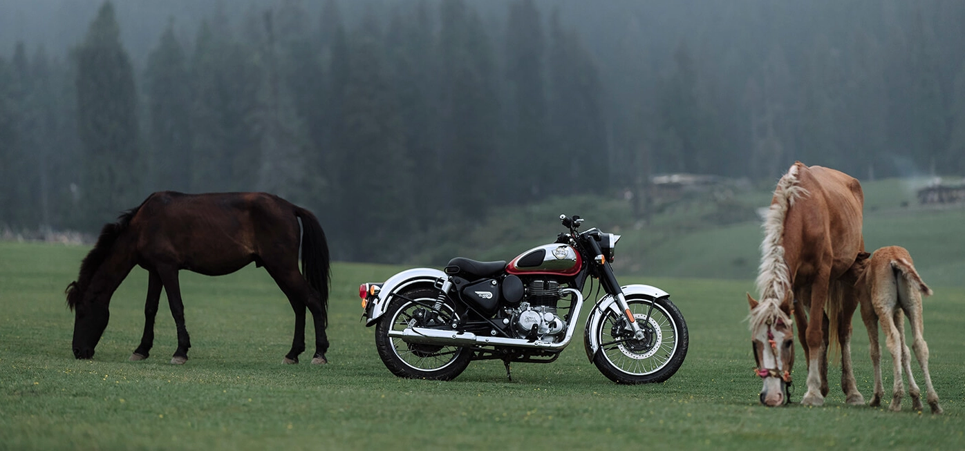 Classic 350 Motorcycle stationary on grassy field, flanked by two horses grazing, with foggy forest in the background.