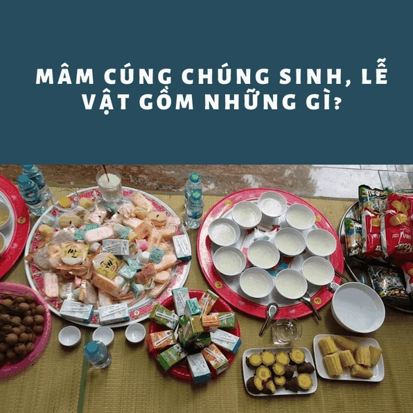 cung-chung-sinh-gom-nhung-gi-huong-dan-chuan-bi-mam-cung-co-_624