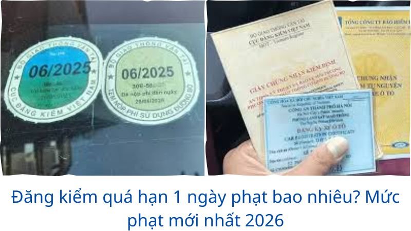 dang-kiem-qua-han-1-ngay-phat-bao-nhieu