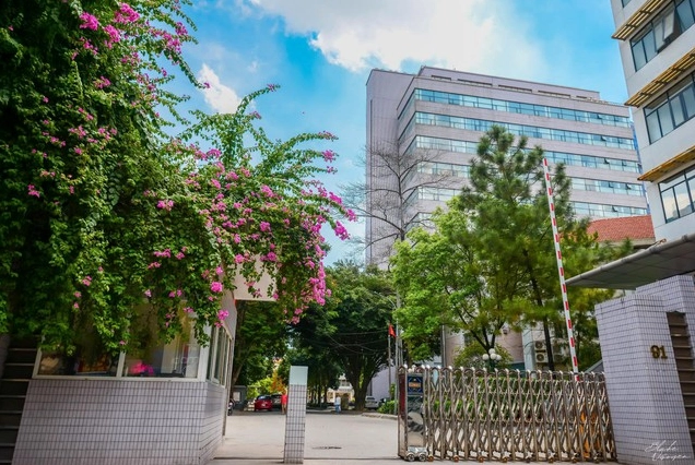 Điểm chuẩn Trường Đại học Ngoại thương (FTU) năm 2025- Ảnh 4.