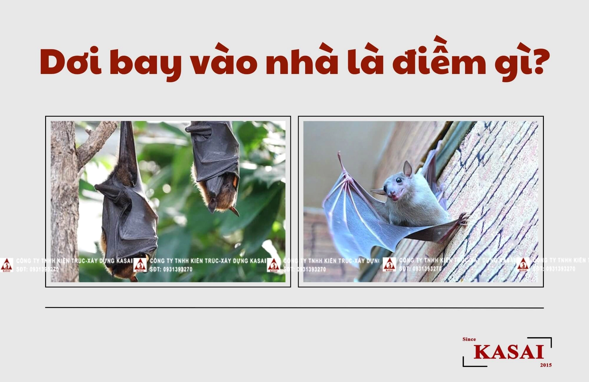 doi-bay-vao-nha-la-diem-gi-giai-ma-tam-linh-khoa-hoc-2026_598