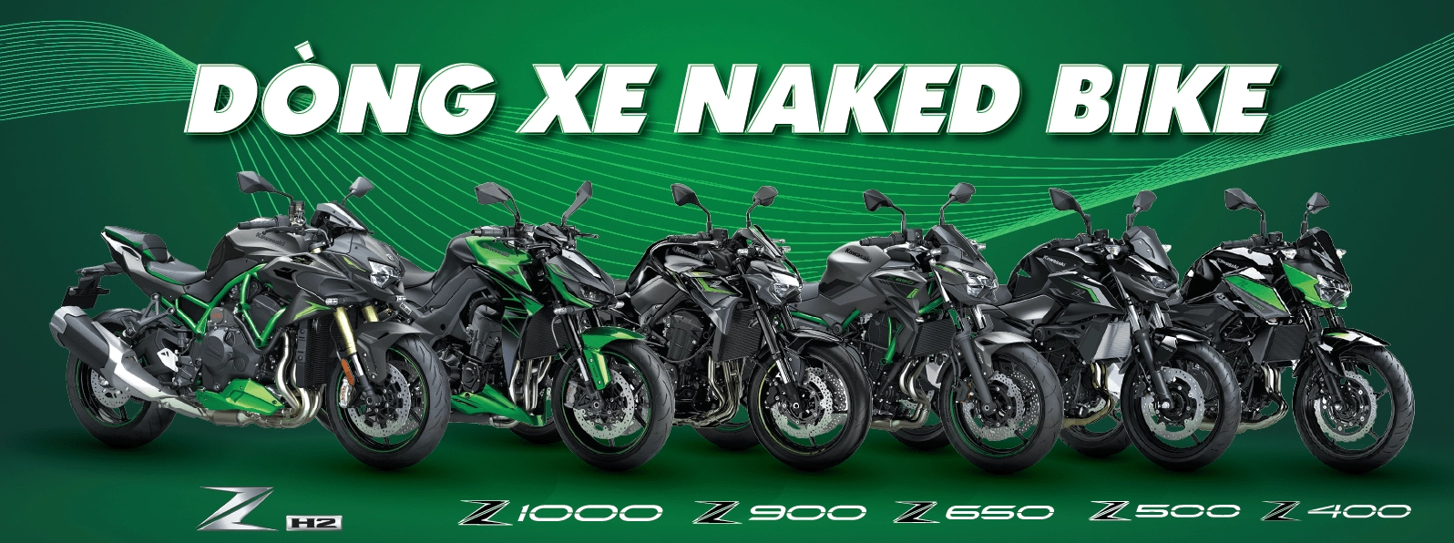 Dòng Naked Bike Kawasaki