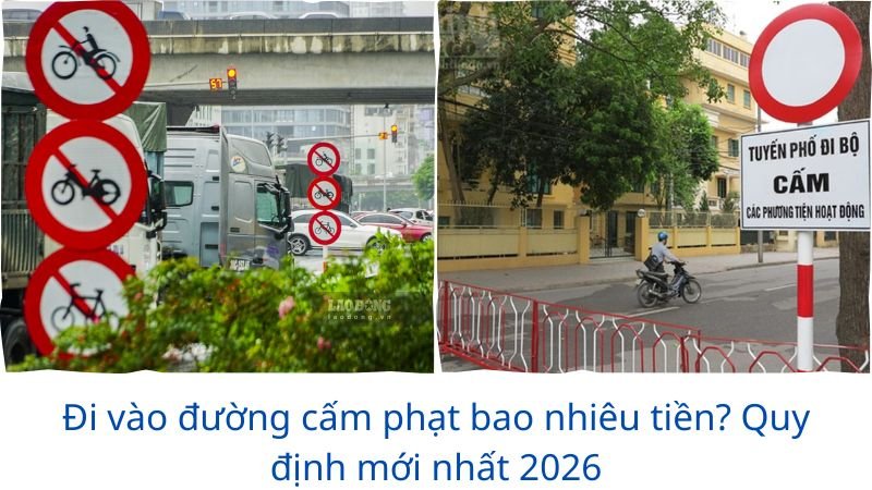 duong-cam-phat-bao-nhieu