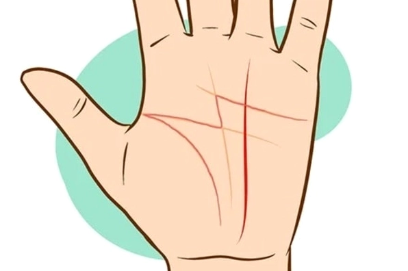 Đường định mệnh là đường thẳng chạy dọc từ phần cổ tay lên phần trên