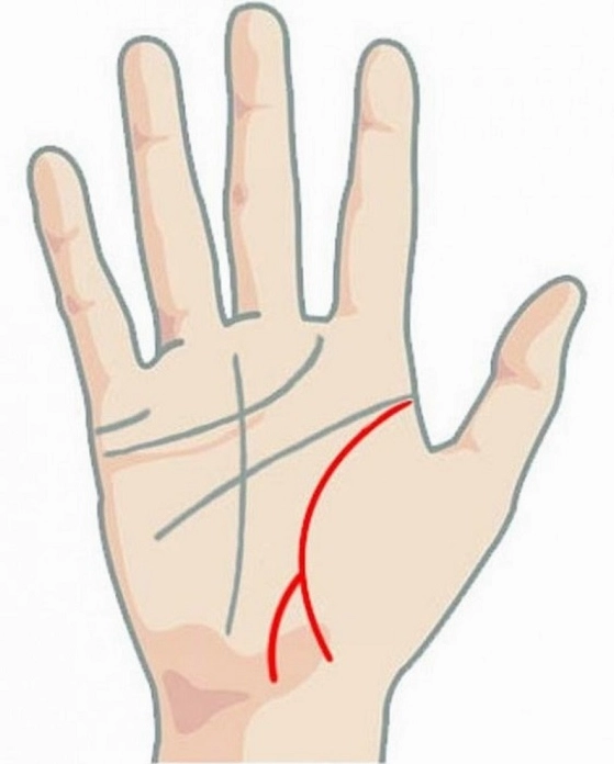 Đường sinh đạo dài là người có sức khỏe tốt