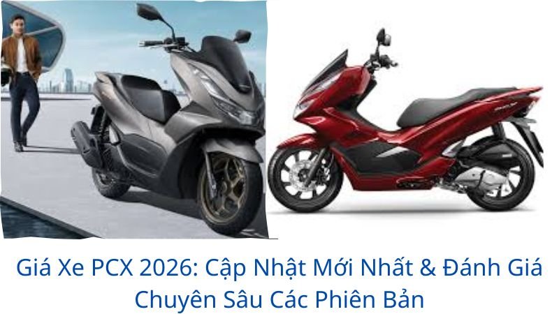 gia-xe-pcx