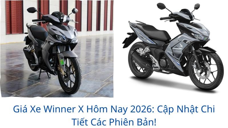 gia-xe-winner-x-hom-nay