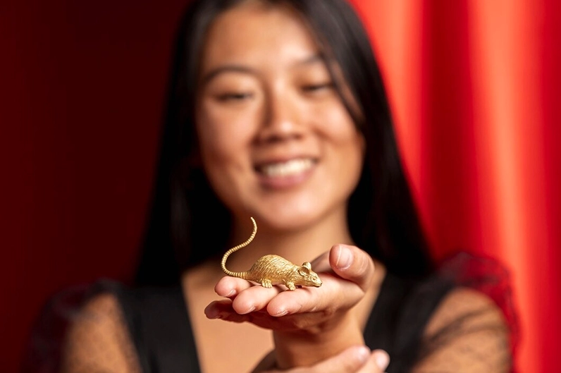 Giấc mơ thấy chuột vàng là giấc mơ đại cát, báo hiệu sự thăng tiến vượt bậc trong công việc