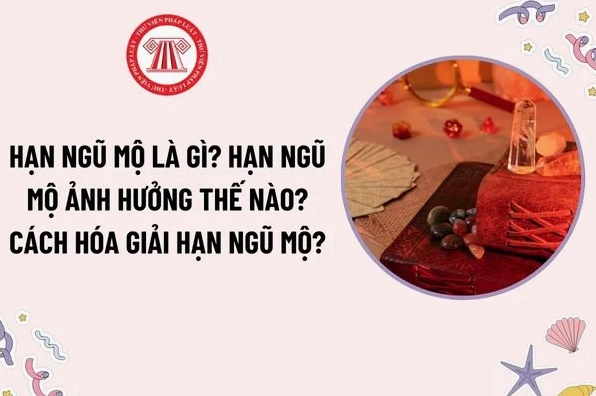 han-ngu-mo-la-gi-y-nghia-anh-huong-va-cach-hoa-giai-chi-tiet_510