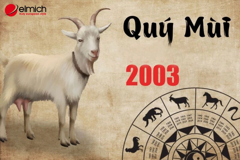 Hình 1: Giúp bạn giải đáp tuổi Quý Mùi sinh năm 2003 mệnh gì?