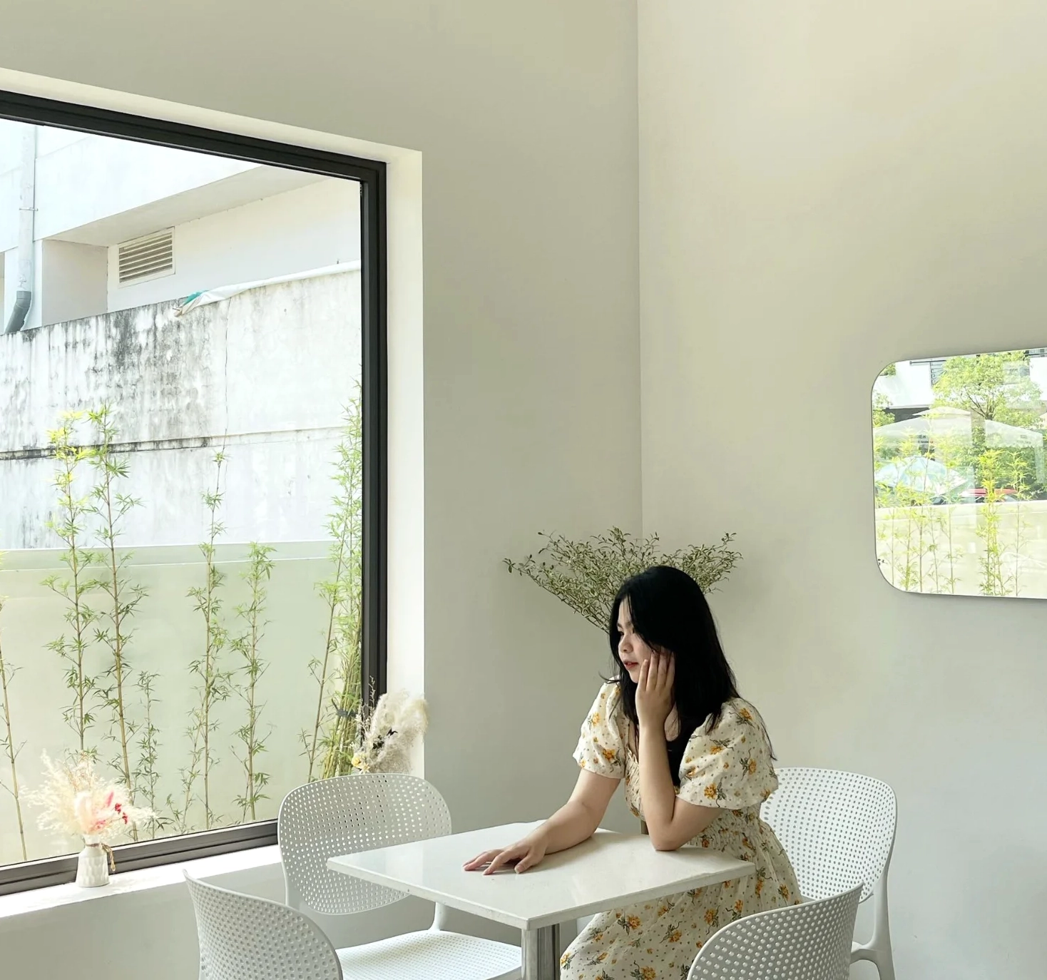 Hình ảnh bướm đen trong nhà