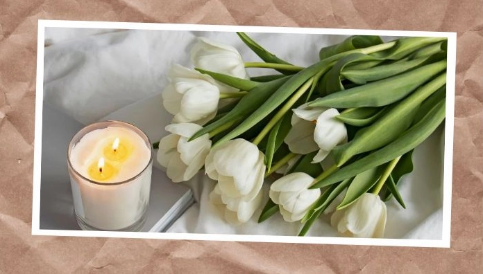 Hoa tulip có ý nghĩ gì trong đời sống?