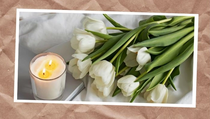 Hoa tulip có ý nghĩ gì trong đời sống?