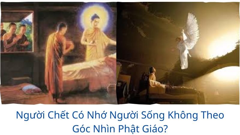 người chết có nhớ người sống không