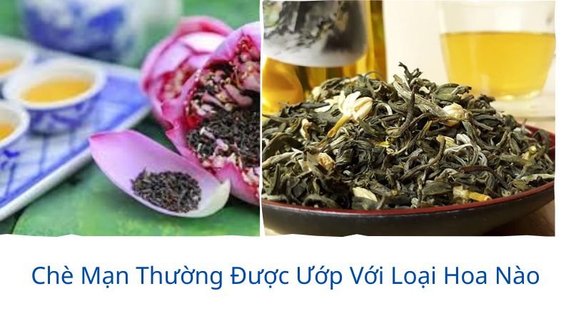 chè mạn thường được ướp với loại hoa nào?