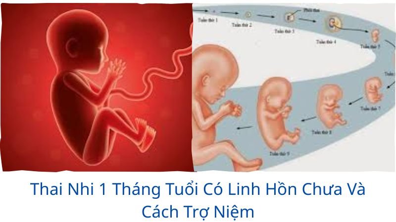 thai nhi 1 tháng tuổi có linh hồn chưa