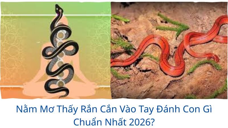 nằm mơ thấy rắn cắn vào tay