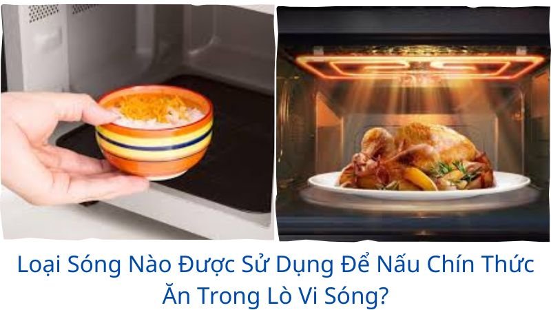 loại sóng nào được sử dụng để nấu chín thức ăn trong lò vi sóng?