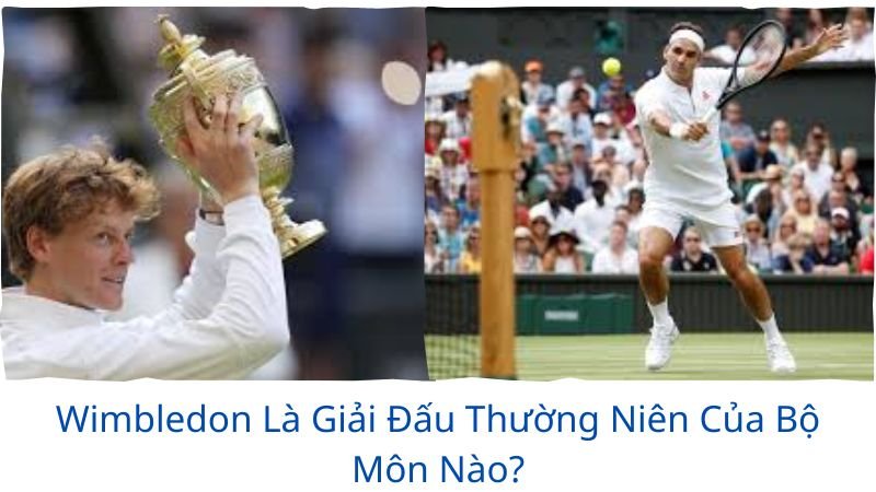 Wimbledon là giải đấu thường niên của bộ môn nào?