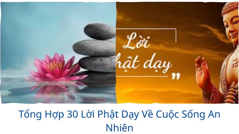 lời phật dạy về cuộc sống an nhiên