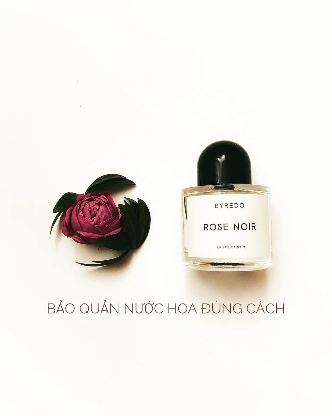 nước hoa có hết hạn không