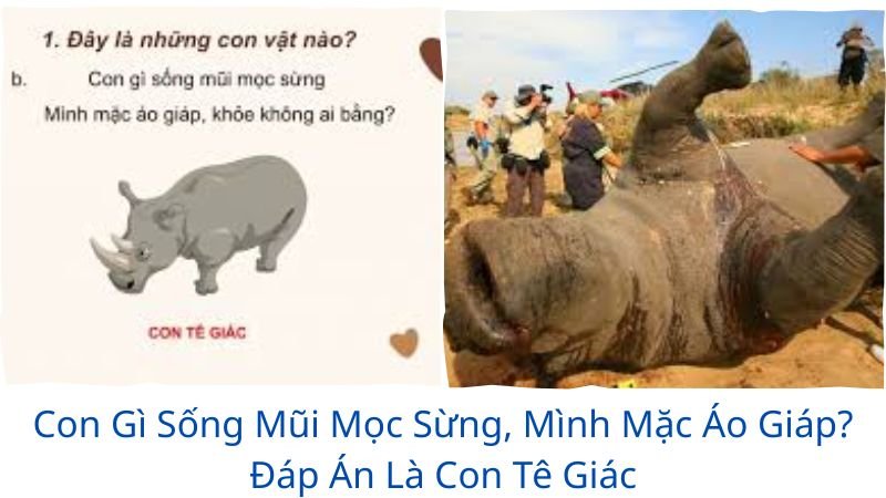 con gì sống mũi mọc sừng mình mặc áo giáp khỏe không ai bằng?