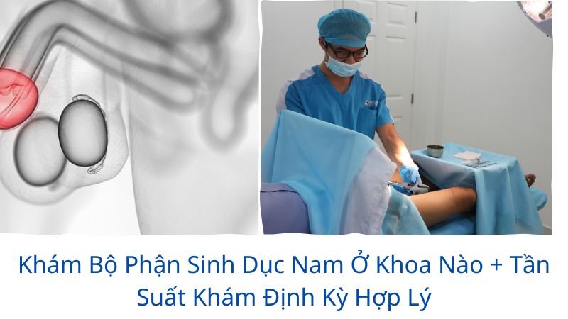 khám bộ phận sinh dục nam ở khoa nào